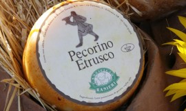 Pecorino_etrusco